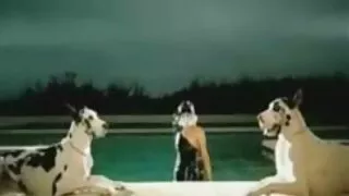 Châu á âm đạo trên quầy bar và phim sex sub hd nhận được một mực đuôi cực khoái